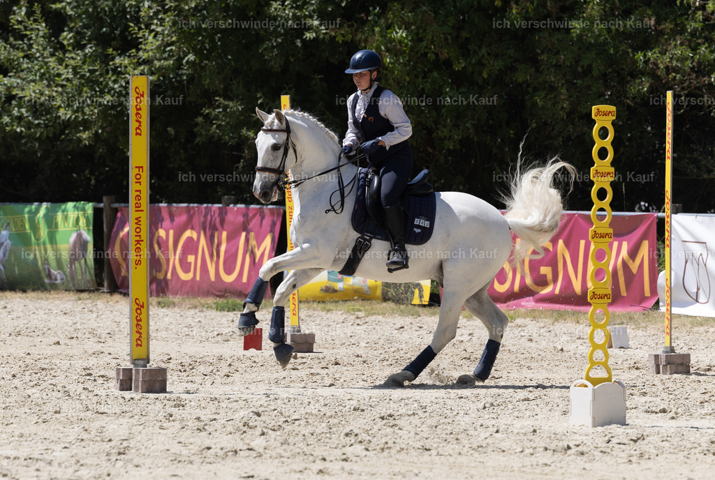 WM_Speed_142_KerstinBernhardt | working equitationturnier fotograf videograf stoibphotography marixx film working equitation deutschland reitsport turnierfotografie eventfotografie equestrian events