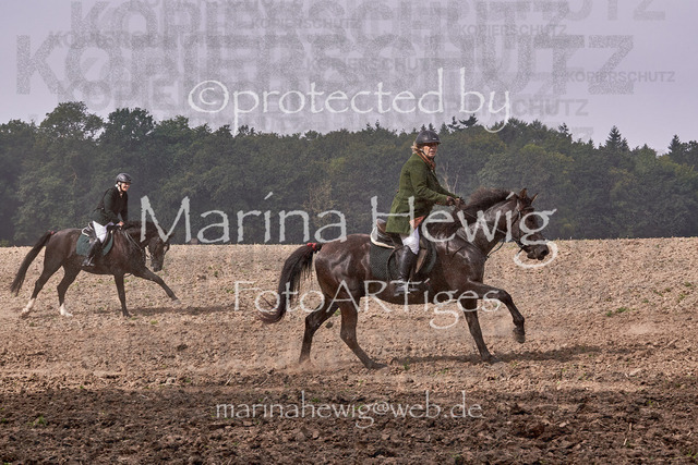 09-23 Jagd Perdöl_MCH9837_Marina Hewig | Fotografie, FotoArt, PferdesportArt, Pferdesportfotografie, Landschaftsfotografie, Reisefotografie, Reise, Pferde - Realisiert mit Pictrs.com