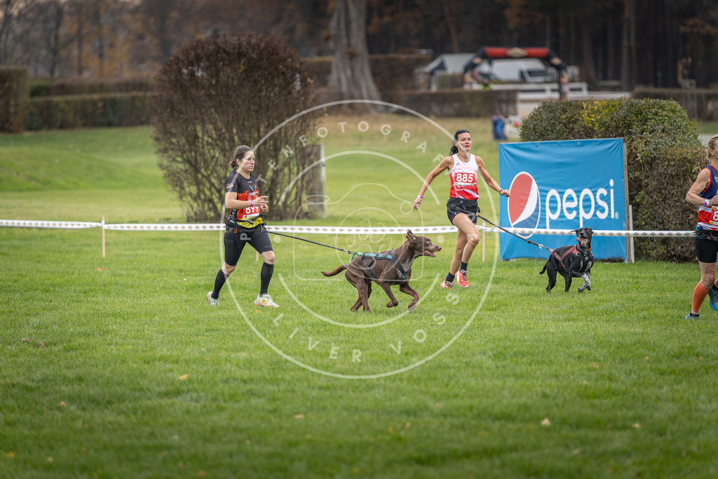 CaniXpix_DV3A6605 | Hundefotografie, Tierfotograf, Pfotenfotografie, Fotoshooting Hund, Hunde Portrait, Hundesport, Hundeportraits, Heideshooting, Hunde, Sportfotograf, Hundefotograf, Turnierhundsport, THS,  - Realisiert mit Pictrs.com