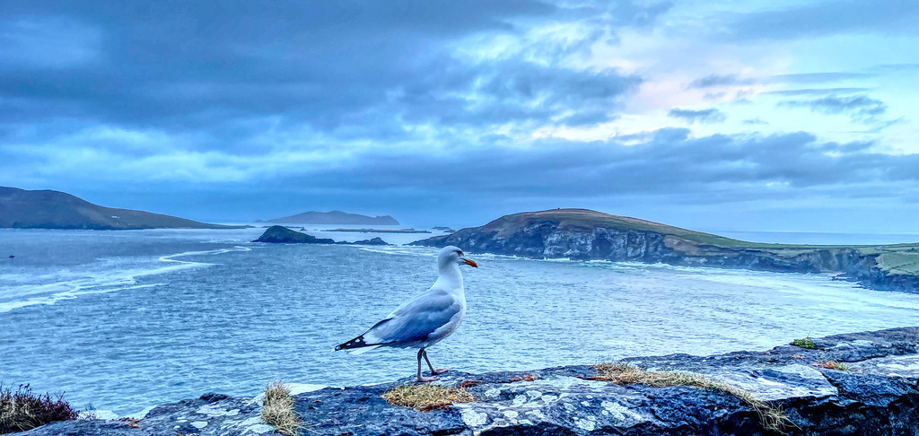 Slea Head Drive Co Kerry (2) | www-pimpup-me - Realisiert mit Pictrs.com