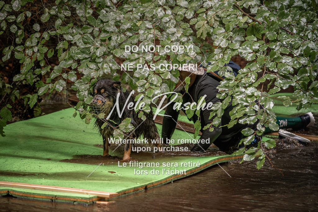 nelerasche_Wingst_Sa1330-1400_94 | nelerasche