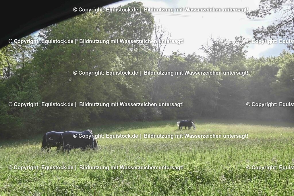 20250517_Impressionen_0093 | Foto: Thomas Hartig