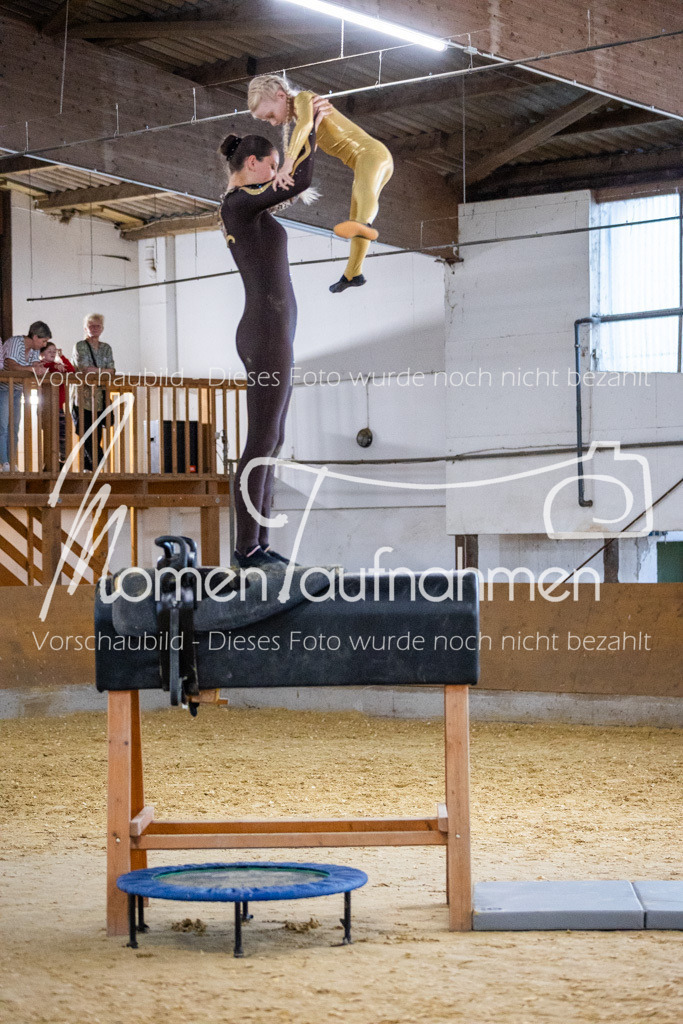 Holzpferd-069 | MomenTaufnahmen Pferdesportfotos