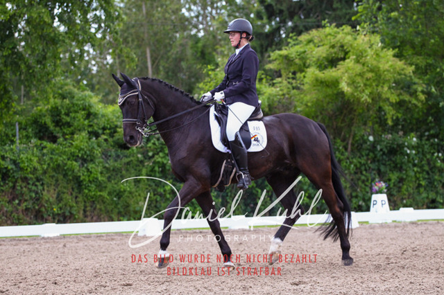 DKP41165 | Turnierfotos kaufen im Webshop von Daniel Kuhl Photography – entdecke professionelle Reitsportfotos aus Turnieren & Events. Hochwertige Turnierbilder online bestellen & sichern. Jetzt Fotos von Reitsportturnieren kaufen!