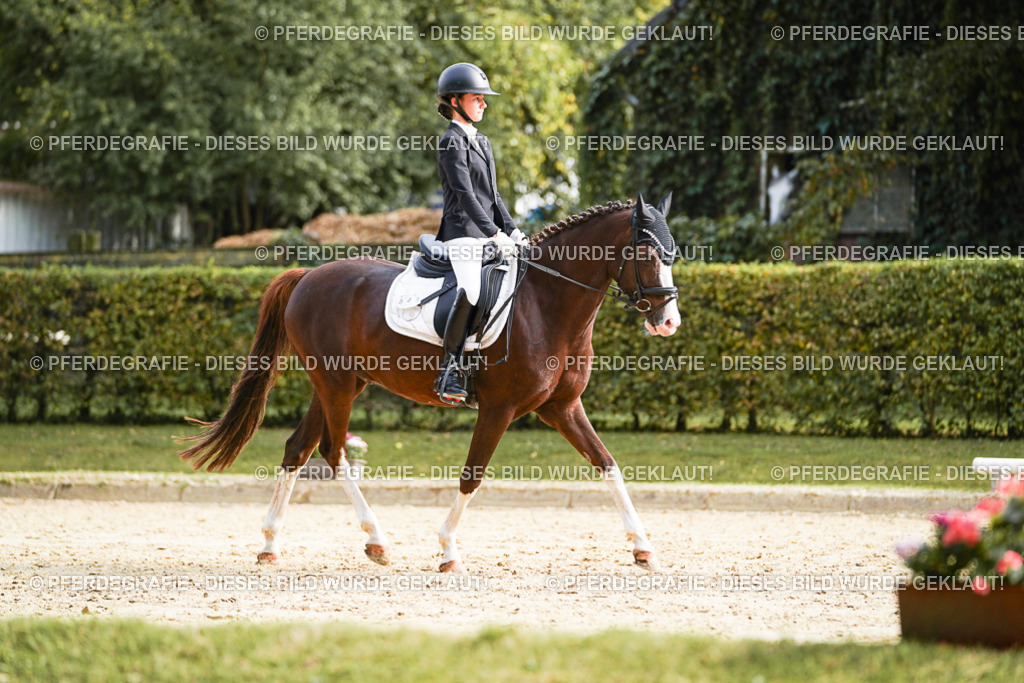 DSC05085 | Pferdegrafie