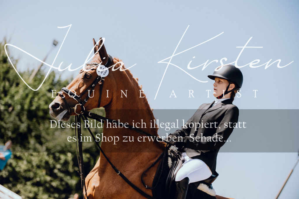 DSC_7201 | Pferde- und Turnierfotografie in Westsachsen. Pferdeportraits, Auftragszeichnungen und intuitive Kunst.