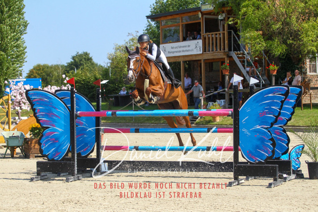 Gut Blee25_Zwei Phasen Springprfg S_0011 | Turniersportfotografie; Pferdefotografie; Dressurfotografie