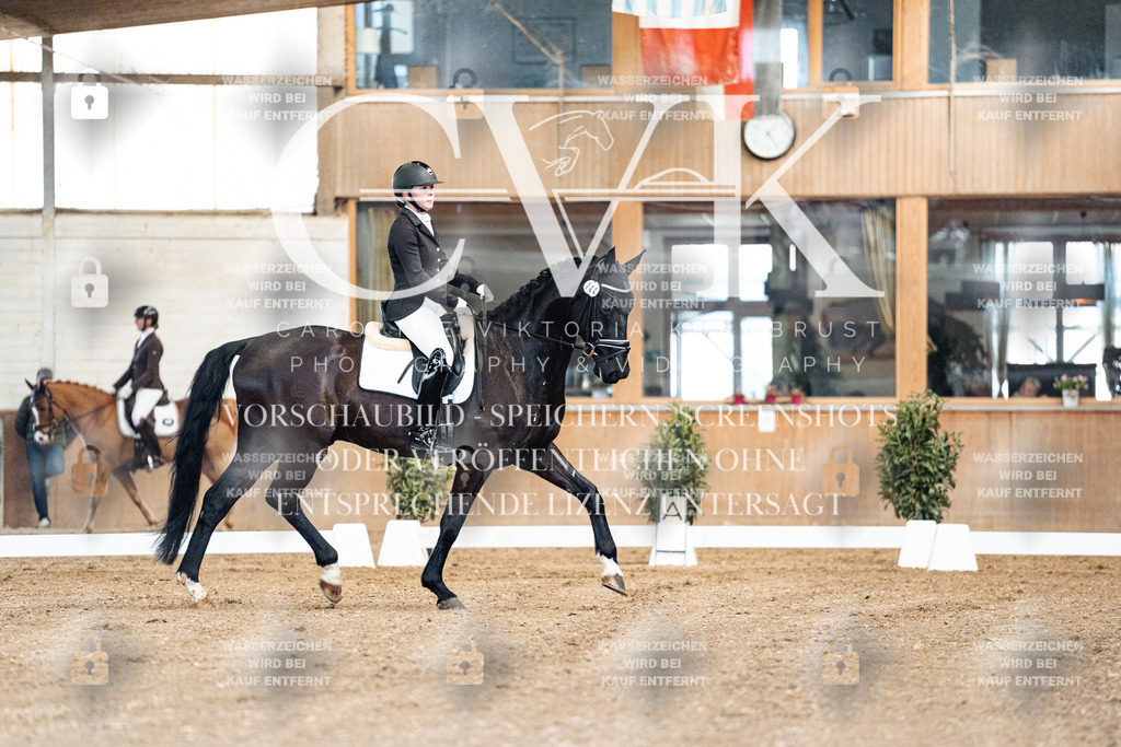 CK900704 | Turnierfotografie Pferdefotografie Trier Rheinland-Pfalz Pferdesport Reitsport Tierfotografie Sportfotografie Pferdevideo Pferdevideografie Equestrianvideography equestrianphotography  - Realisiert mit Pictrs.com