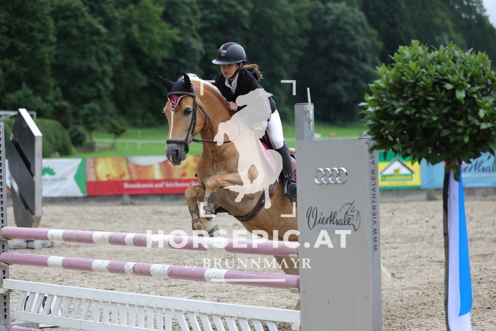 0P6A1278 | Willkommen bei Brunnmayr - Design & Fotografie – Ihrem Spezialisten für Reitturniere und Pferdeveranstaltungen in Oberösterreich, Salzburg und Bayern! Seit über 17 Jahren sind wir leidenschaftlich dabei.