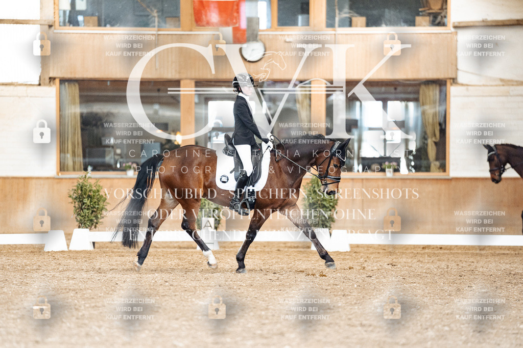 CK901529 | Turnierfotografie Pferdefotografie Trier Rheinland-Pfalz Pferdesport Reitsport Tierfotografie Sportfotografie Pferdevideo Pferdevideografie Equestrianvideography equestrianphotography  - Realisiert mit Pictrs.com