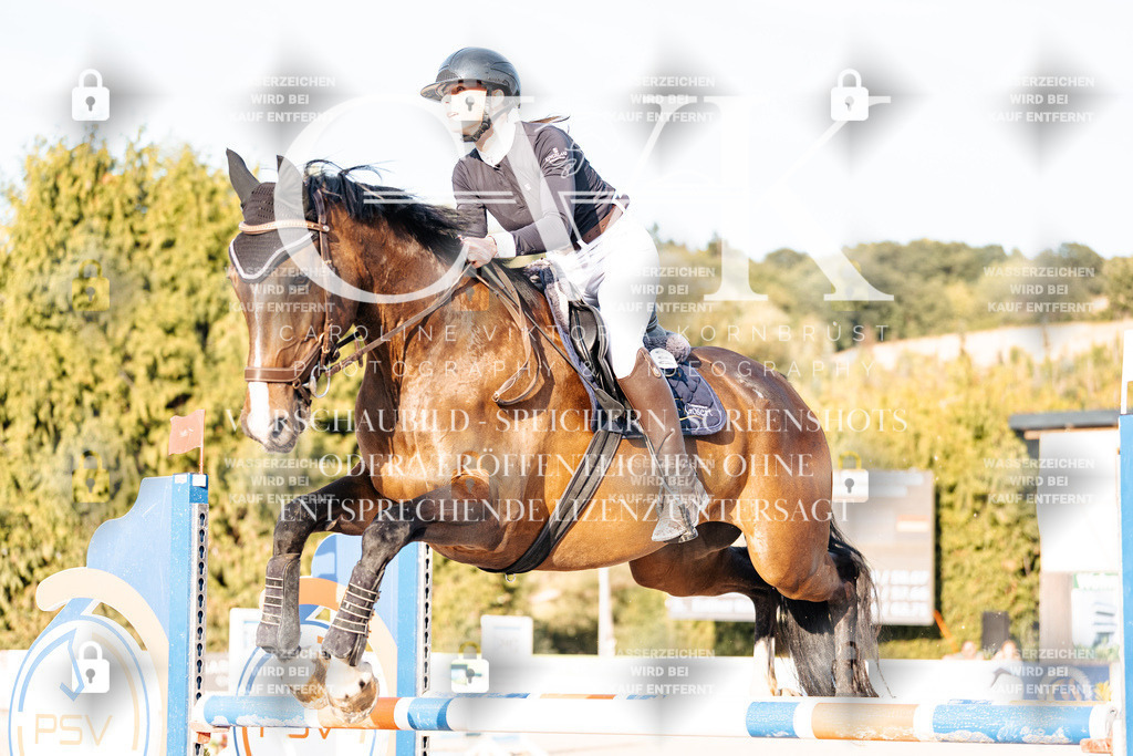 CK903534 | Turnierfotografie Pferdefotografie Trier Rheinland-Pfalz Pferdesport Reitsport Tierfotografie Sportfotografie Pferdevideo Pferdevideografie Equestrianvideography equestrianphotography  - Realisiert mit Pictrs.com