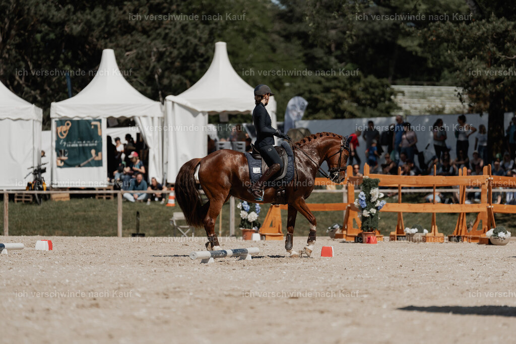WE_ST_Stoib_342_PI2025_1421 | 330Pferd International München 2025