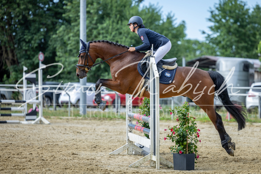 20260704-_3LI6846 | Tierfotografie Pferde, Hunde, Katzen, Haustiere.
Turnierfotografie Reitturniere, Reiten, Springreiten, Dressur in Hanau, dem Main-Kinzig-Kreis und dem Rhein-Main- Gebiet um Frankfurt