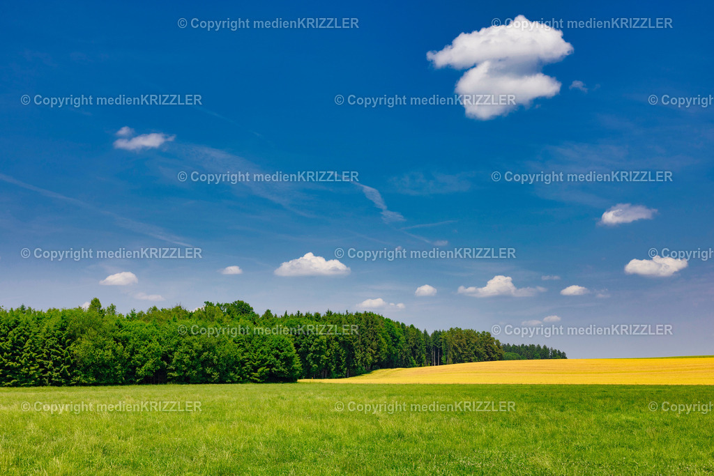 _J3A1334 | medienkrizzler - Realisiert mit Pictrs.com