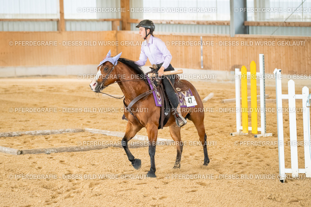 DSC07127 | Pferdegrafie