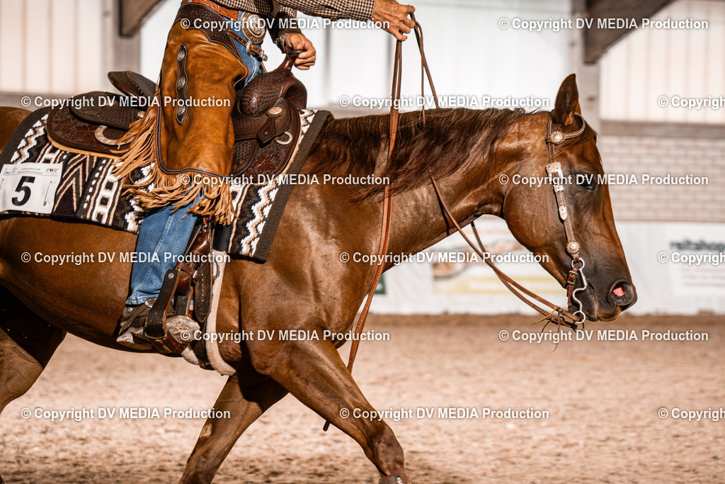 ZH300296 | dv-media-shop - Realisiert mit Pictrs.com