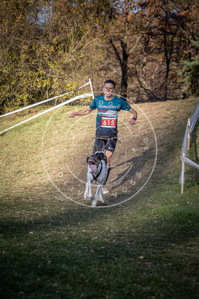 CaniXpix_0L8A8726 | Hundefotografie, Tierfotograf, Pfotenfotografie, Fotoshooting Hund, Hunde Portrait, Hundesport, Hundeportraits, Heideshooting, Hunde, Sportfotograf, Hundefotograf, Turnierhundsport, THS,  - Realisiert mit Pictrs.com