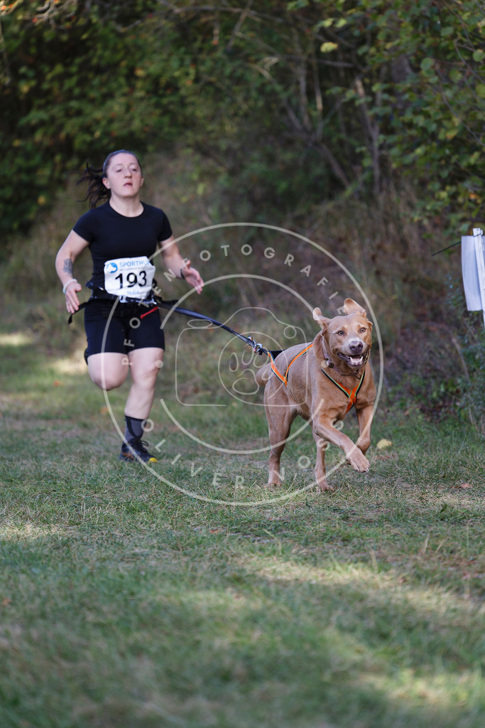 0L8A5434 | Hundefotografie, Tierfotograf, Pfotenfotografie, Fotoshooting Hund, Hunde Portrait, Hundesport, Hundeportraits, Heideshooting, Hunde, Sportfotograf, Hundefotograf, Turnierhundsport, THS,  - Realisiert mit Pictrs.com