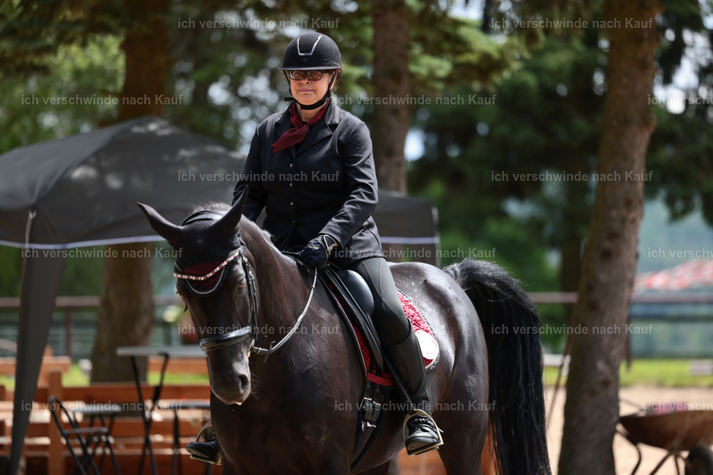 KlasseE_Stoibphotography_CAM22200.JPG | working equitationturnier fotograf videograf stoibphotography marixx film working equitation deutschland reitsport turnierfotografie eventfotografie equestrian events