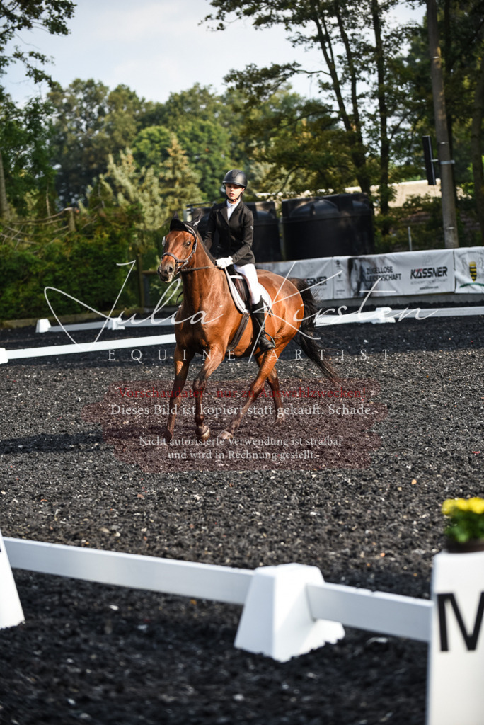 DSC_3495 | Pferde- und Turnierfotografie in Westsachsen. Pferdeportraits, Auftragszeichnungen und intuitive Kunst.