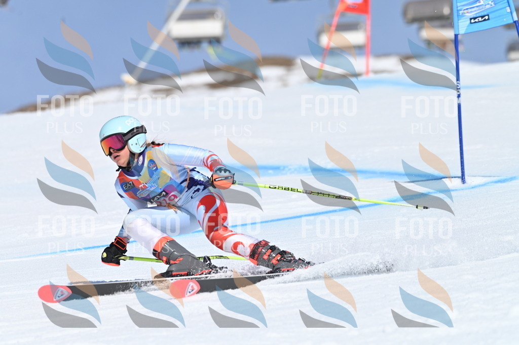 BGV_9798 | holidayphoto