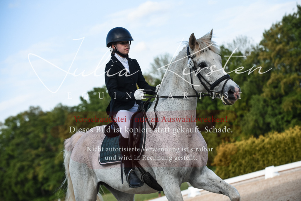 20230518_JK-Röhrsdorf-12-1244 | Pferde- und Turnierfotografie in Westsachsen. Pferdeportraits, Auftragszeichnungen und intuitive Kunst.