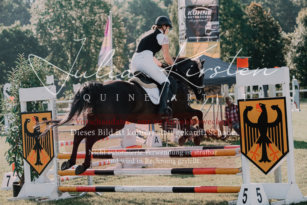 DSC_4519 | Pferde- und Turnierfotografie in Westsachsen. Pferdeportraits, Auftragszeichnungen und intuitive Kunst.