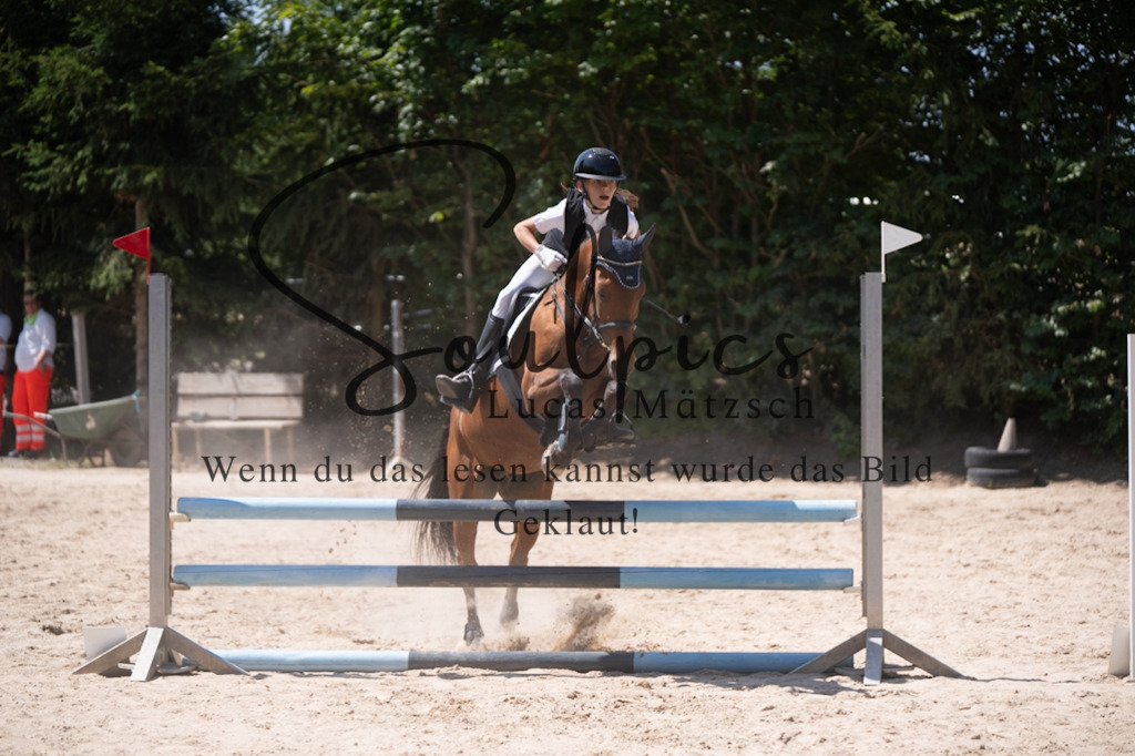 A7V08478 | Pferdefotograf