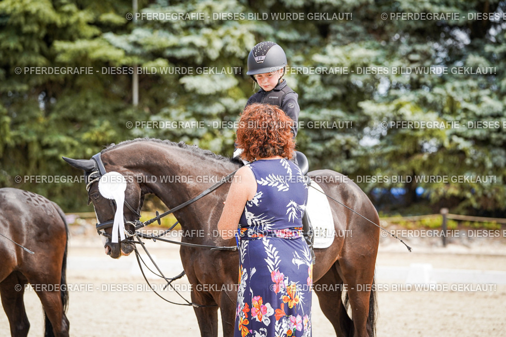 DSC02876 | Pferdegrafie