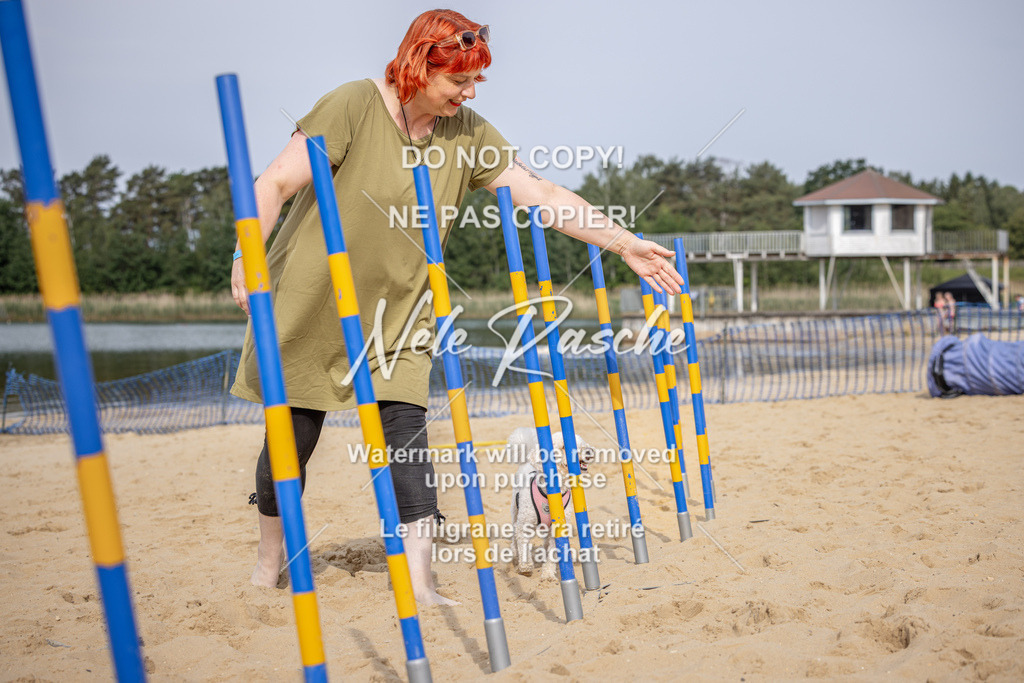 nelerasche_BuHu2026_So09-10_54 | nelerasche