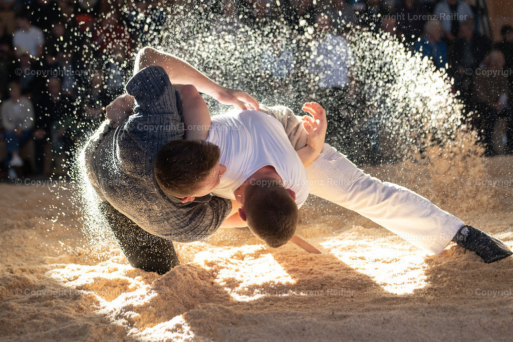 Schwingen -  Lichtmess 2024 | Gais, 3.2.24, Schwingen - Lichtmess.