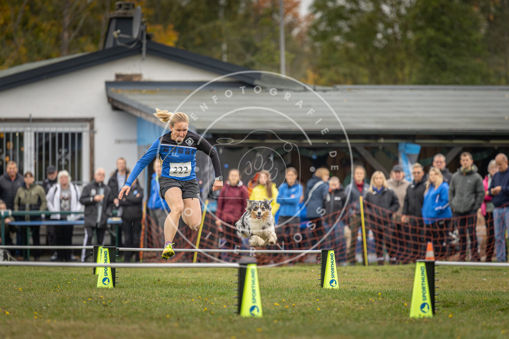 Pfotenfotografie_DV3A3079 | Hundefotografie, Tierfotograf, Pfotenfotografie, Fotoshooting Hund, Hunde Portrait, Hundesport, Hundeportraits, Heideshooting, Hunde, Sportfotograf, Hundefotograf, Turnierhundsport, THS,  - Realisiert mit Pictrs.com