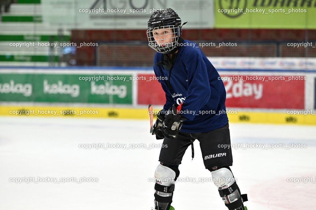 Z9B_3375 | hockey sports photos, Pressefotos, Sportfotos, hockey247, win 2day icehockeyleague, Handball Austria, Floorball Austria, ÖVV, Kärntner Eishockeyverband, KEHV, KFV, Kärntner Fussballverband, Österreichischer Volleyballverband, Alps Hockey League, ÖFB, 