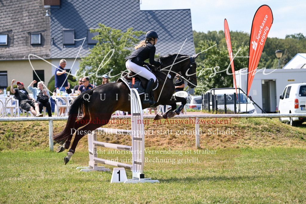 DSC_0520 | Pferde- und Turnierfotografie in Westsachsen. Pferdeportraits, Auftragszeichnungen und intuitive Kunst.