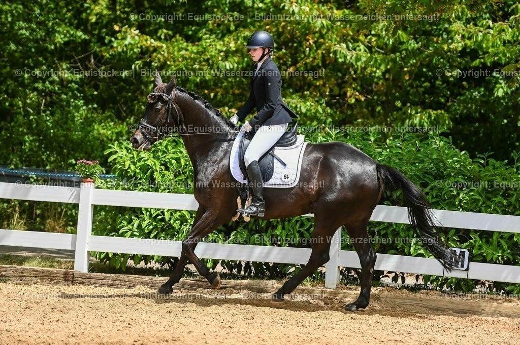 20230715_05_Dressurprüfung Kl.A++_0387 | equistock
