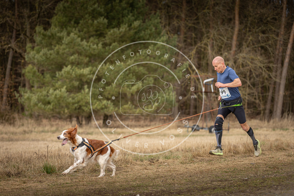 DV3A5300 | Hundefotografie, Tierfotograf, Pfotenfotografie, Fotoshooting Hund, Hunde Portrait, Hundesport, Hundeportraits, Heideshooting, Hunde, Sportfotograf, Hundefotograf, Turnierhundsport, THS,  - Realisiert mit Pictrs.com