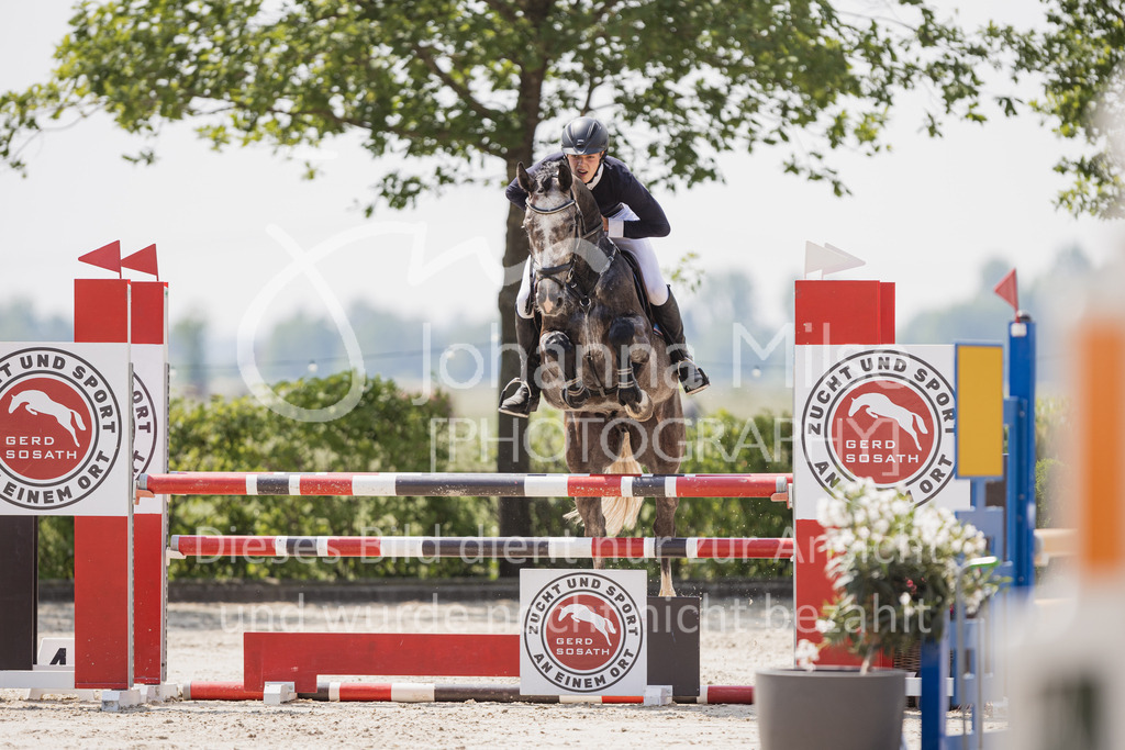 230616_Lemwerder_Springpf-L1-509 | Deine schönsten Turniermomente als professionelle Fotos! Entdecke hochwertige Pferdesport-Fotografie im Online-Shop. Jetzt Fotos finden & bestellen!