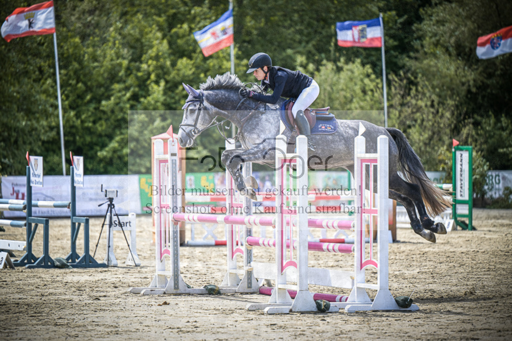 DOS_4513 | Entdecke hochwertige Reitturnierfotos von Foto Oger. Professionell, emotional und authentisch – jetzt Lieblingsmomente im Shop bestellen.Deutschlandweite Turnierfotografie. - Realisiert mit Pictrs.com