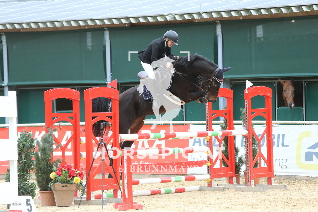 DL2Q7028 | Willkommen bei Brunnmayr - Design & Fotografie – Ihrem Spezialisten für Reitturniere und Pferdeveranstaltungen in Oberösterreich, Salzburg und Bayern! Seit über 17 Jahren sind wir leidenschaftlich dabei.