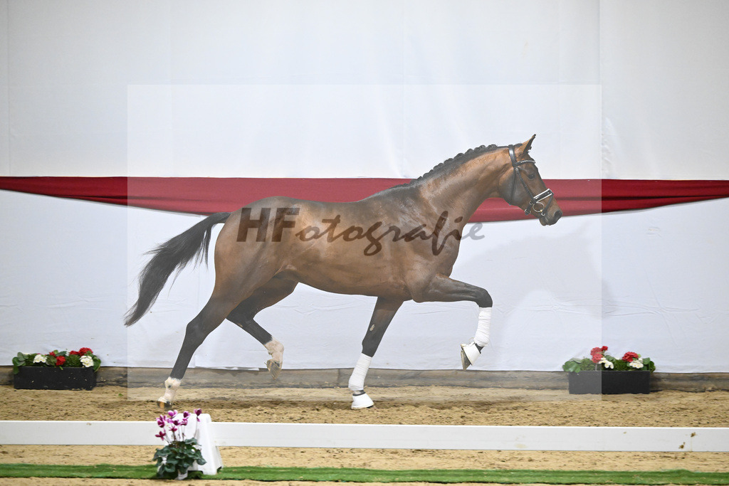 Kat-Nr. 60 v. Valverde_Schoenland_63221826 | hf-fotografie - Realizzato con Pictrs.com