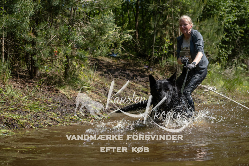 1524DKK991286 | kk-dogfotos