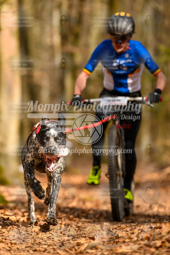 MompixPhotography_Habay2025_SA_SCO-42 | PayLife