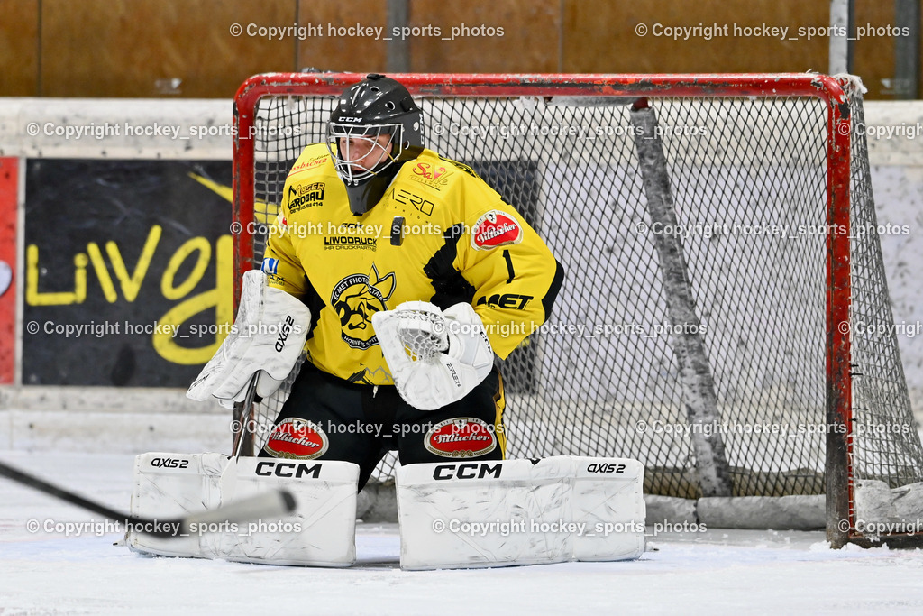 EC Spittal Hornets vs. ESC Steindorf 10.2.2024 | #1 Zauchner Rene