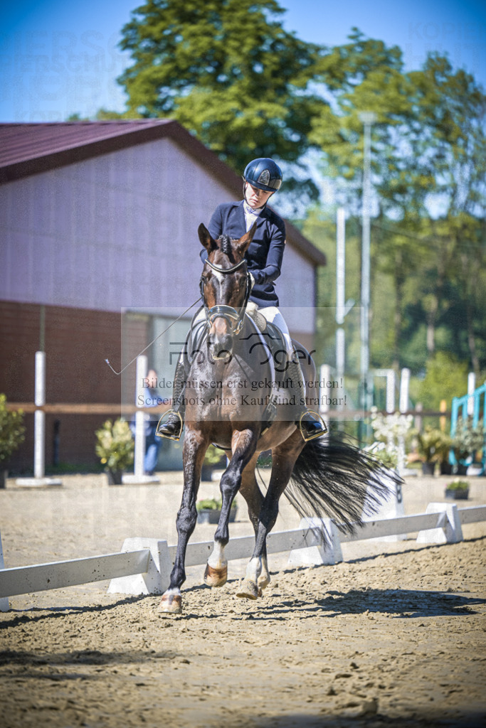 DOS_5865 | Entdecke hochwertige Reitturnierfotos von Foto Oger. Professionell, emotional und authentisch – jetzt Lieblingsmomente im Shop bestellen.Deutschlandweite Turnierfotografie. - Realisiert mit Pictrs.com