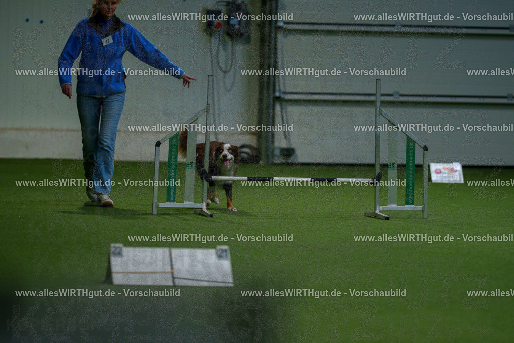 7R505110 | Professionelle Tierfotografie in Mönchengladbach von Daniel Wirth (allesWIRTHgut). Liebevolle & natürliche Bilder von Hunden & Katzen für unvergessliche Erinnerungen.