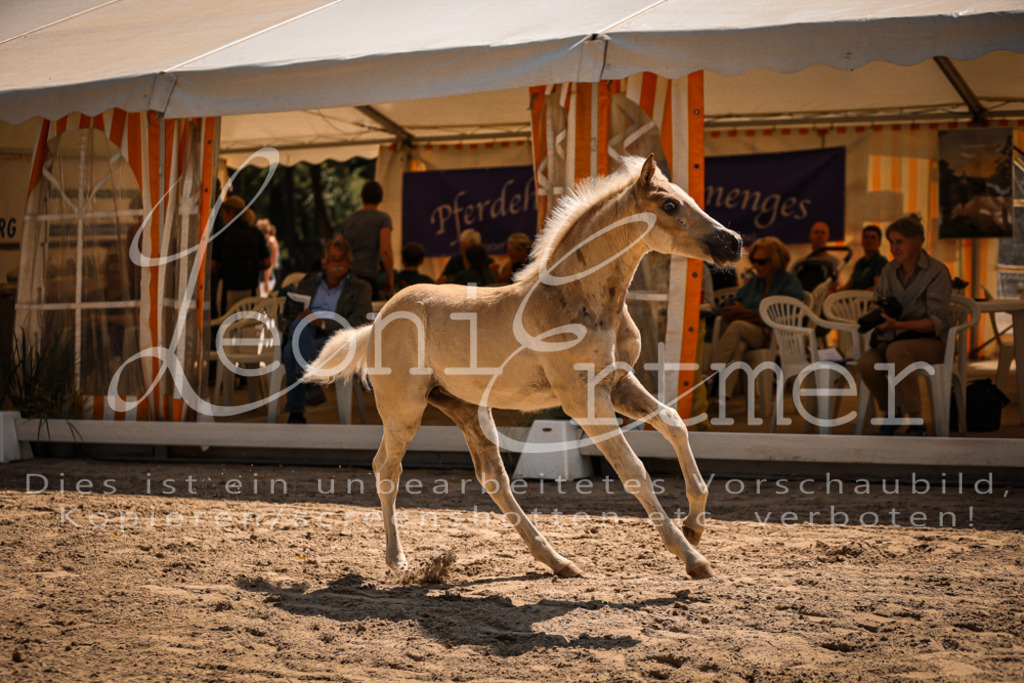 06.DoH00095 | Leoni Ertmer Photography - Realisiert mit Pictrs.com