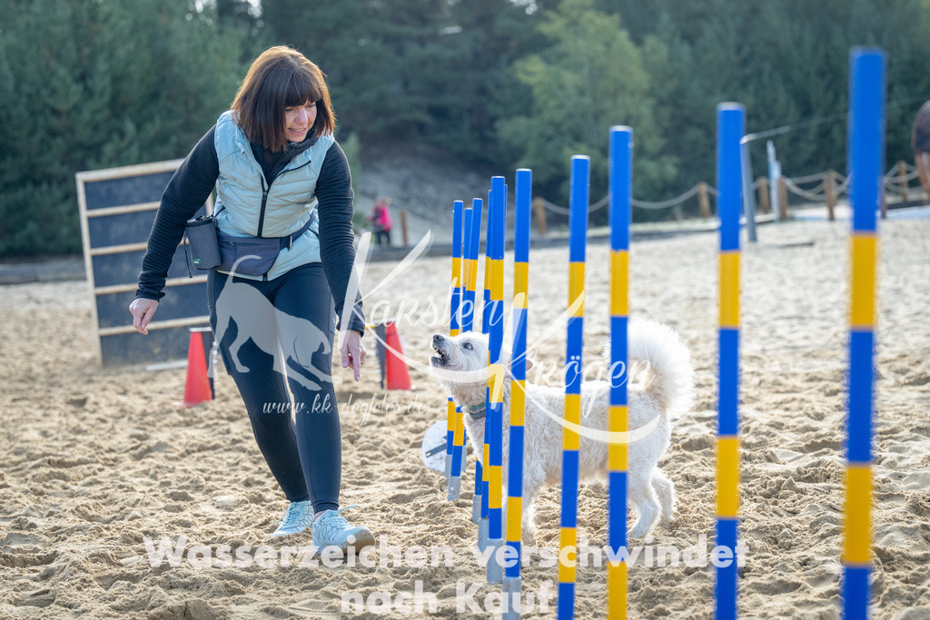 0955_ZZ93117 | kk-dogfotos