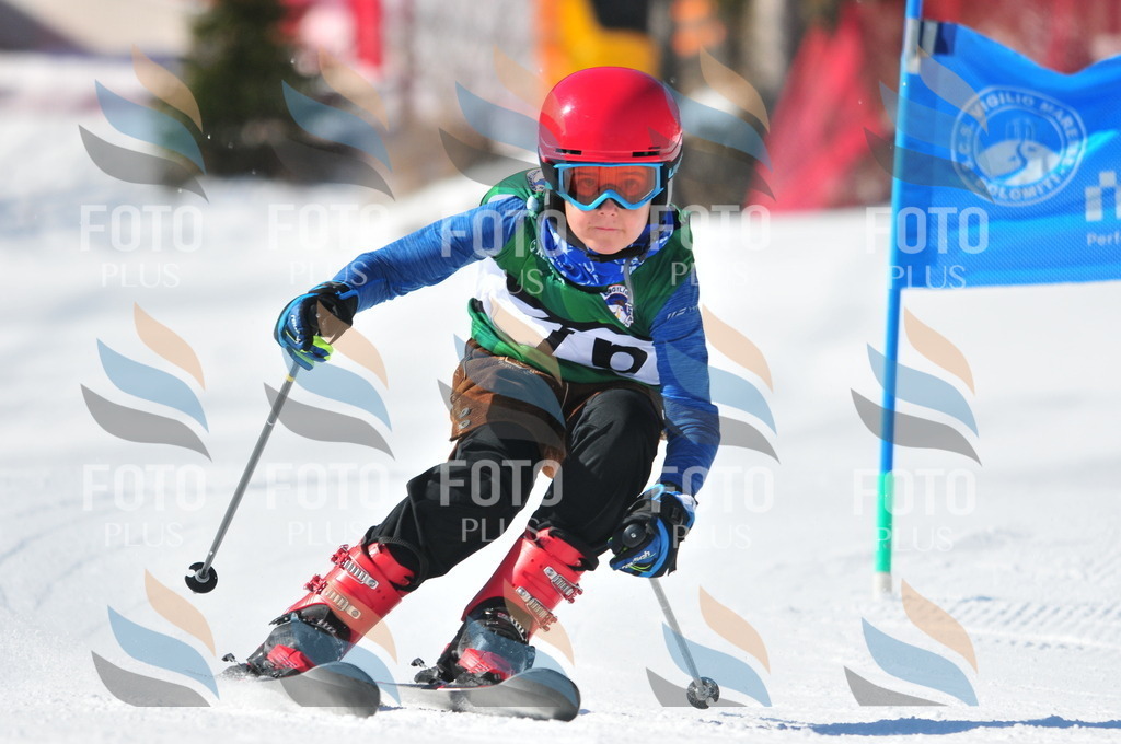 C3066 | holidayphoto