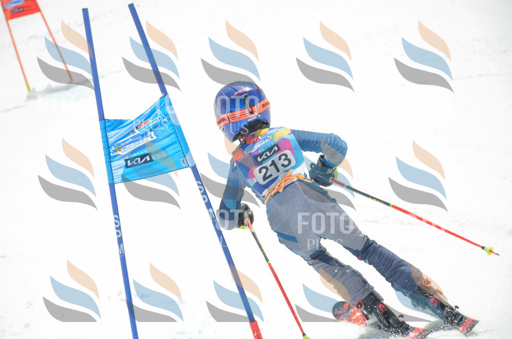 _ELE7079 | holidayphoto