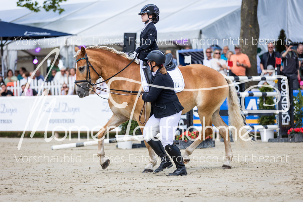 BHO-Führzügel1-007 | MomenTaufnahmen Pferdesportfotos